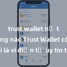 trust wallet hỗ trợ mạng nào Trust Wallet có phải là ví điện tử uy tín tại Việt Nam không?